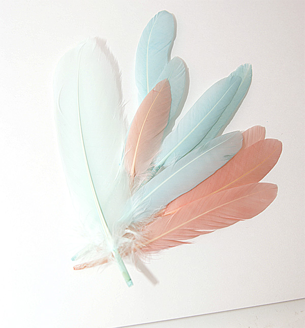 Набор пёрышек мятно-коралловый.