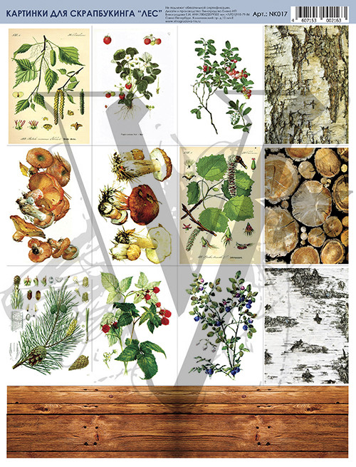 Картинки для вырезания Елена Виноградова "Лес"