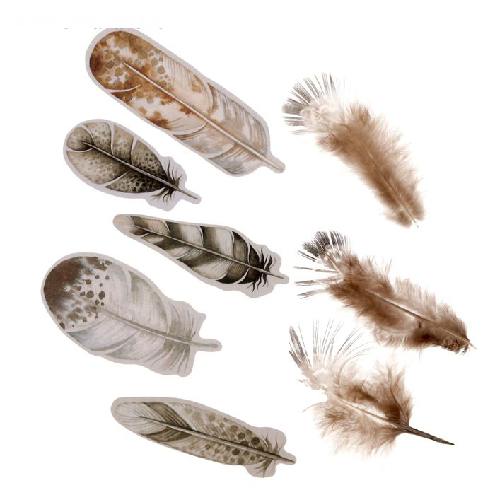 Набор пёрышек декоративных "Натуральный".