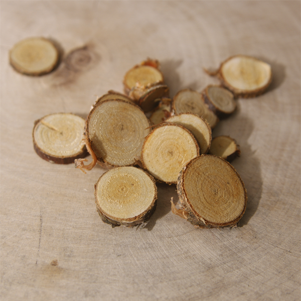 Деревянные спилы мини сосны