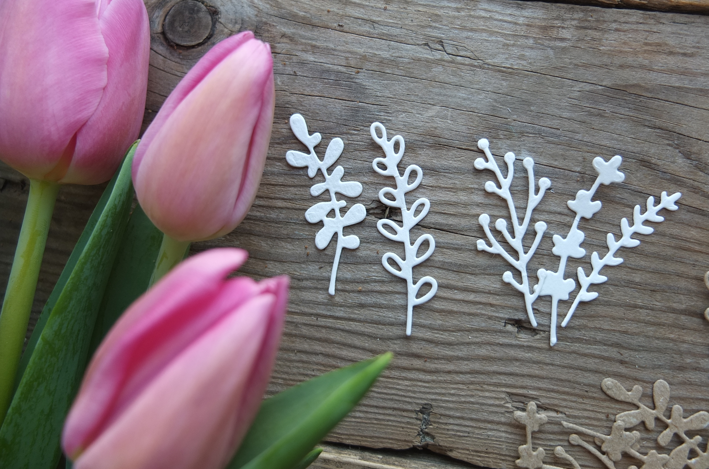 Нож для вырубки mimi cut "Гербарий"