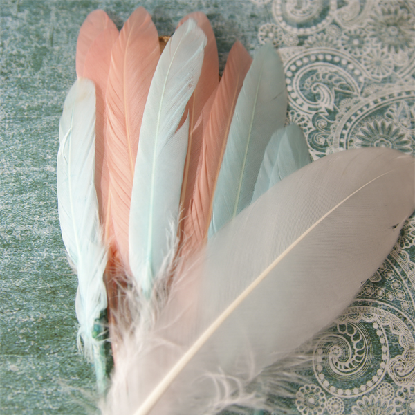 Набор пёрышек мятно-коралловый.