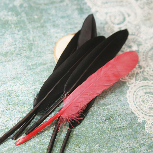 Набор пёрышек чёрный + коралл
