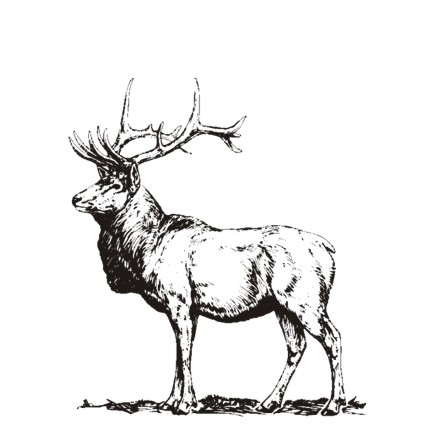 Штамп Stylish Stamps "Олень"