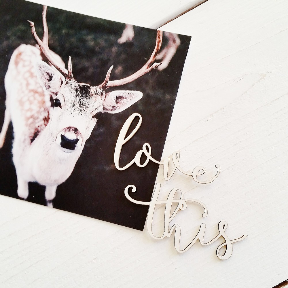 Чипборд WoodCraft "Love this"