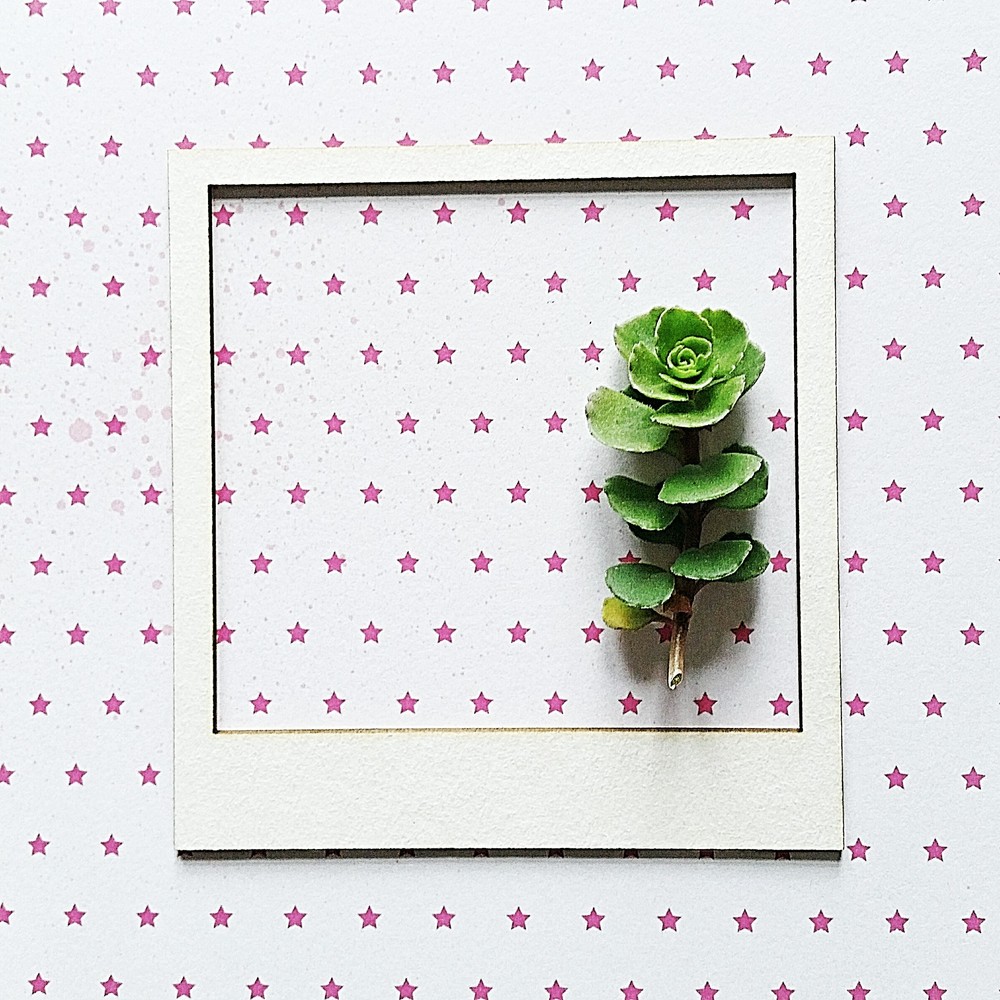 Чипборд WoodCraft "Полароид"