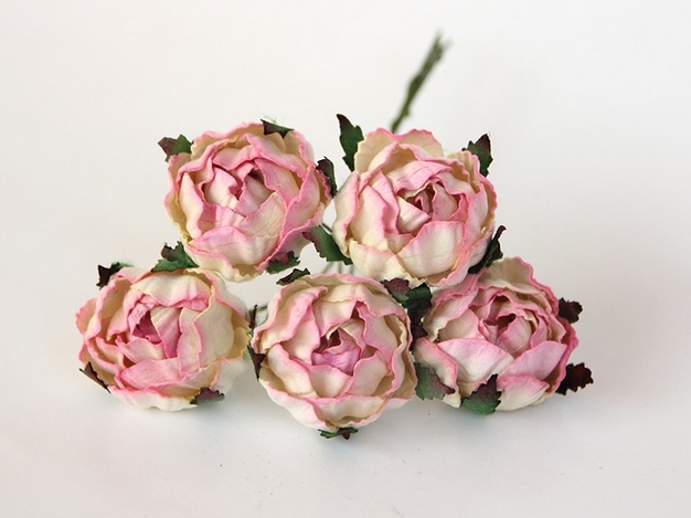 Букет ранункулюсов. Цвет кремовый с розовым