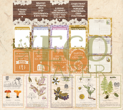 Набор карточек ECO Paper "Тайны леса"