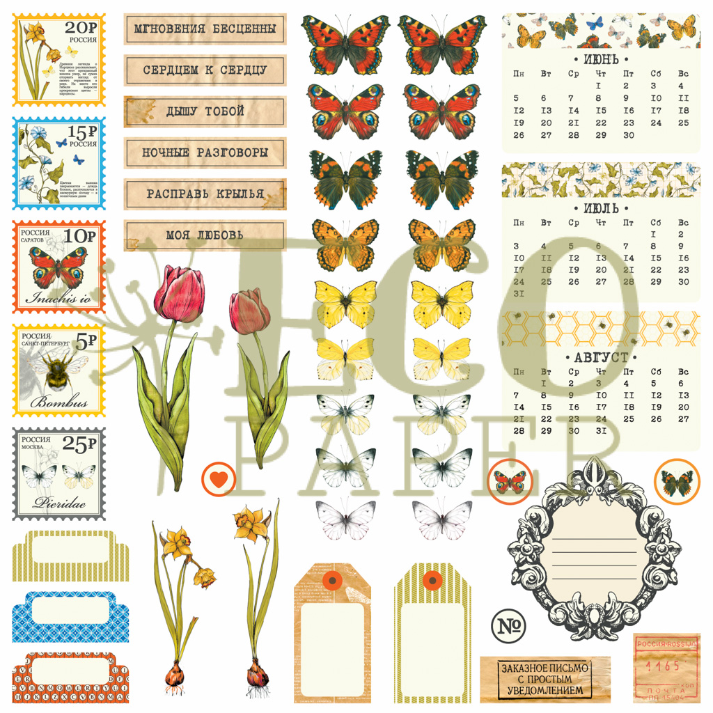 Набор вырубки из картона ECO Paper "Атлас бабочек"