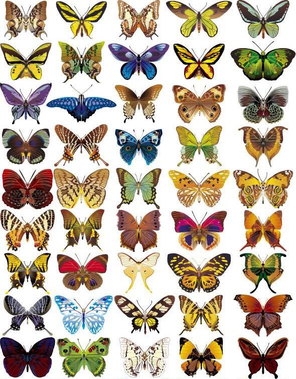 Оверлей Фабрика Декору «Бабочки», А4