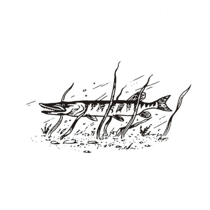 Штамп Stylish Stamps "Щука мал"