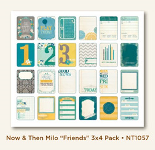 Набор карточек My Minds Eye "Now&then", Friends