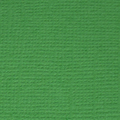 Картон MrPainter с тиснением "лён" 30,5 х 30,5 см Лесной папоротник