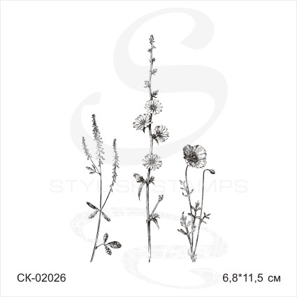 Штамп Stylish Stamps "Набор с цикорием"