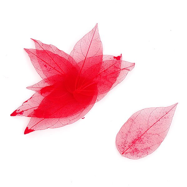 Набор скелетированных листиков, цвет бордовый