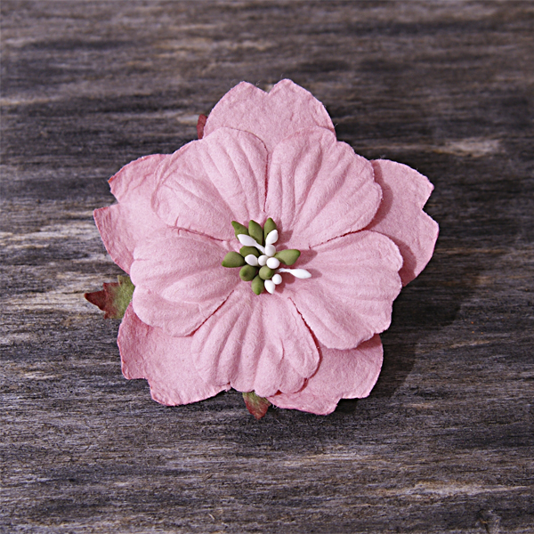 Цветок анемона, цвет бледный коралловый, 1 шт