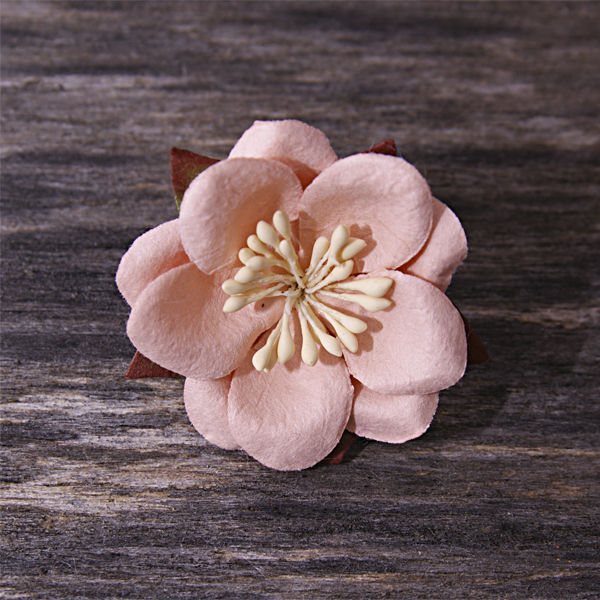Цветок сакуры, цвет бледный абрикосовый, 1 шт