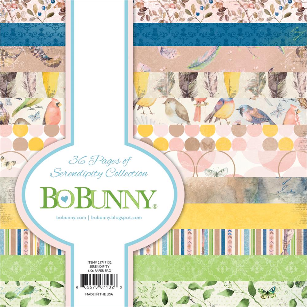 Набор бумаги 15 х15 см BoBunny "Serendipity"