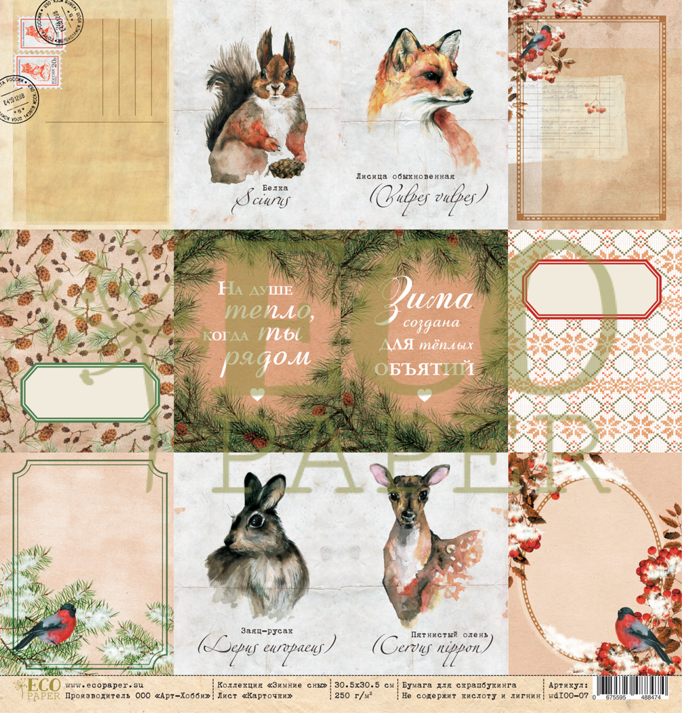 Бумага для скрапбукинга Eco paper "Зимние сны" Карточки (ECO47)