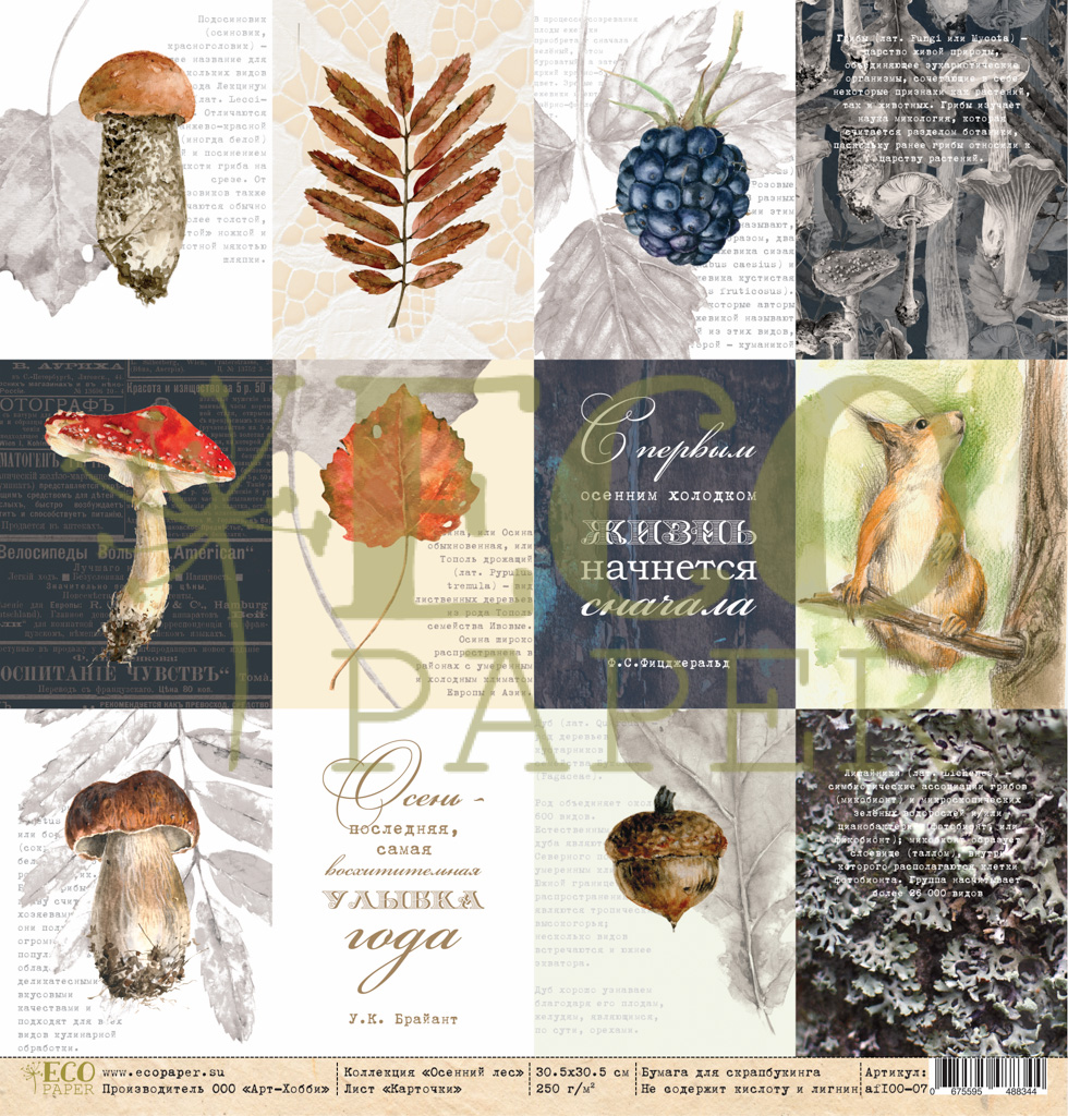 Бумага для скрапбукинга Eco paper "Осенний лес" Карточки (ECO54)