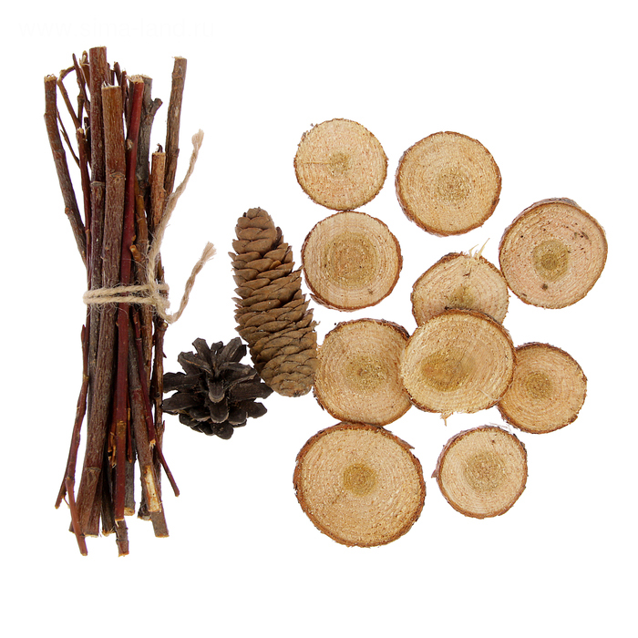 Набор природного декора "Осиновая роща"