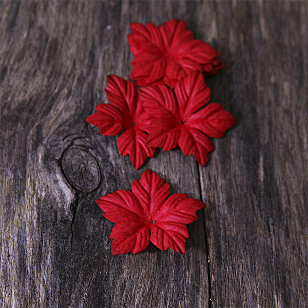 Цветок пуансетии 4 см плоский, цвет красный