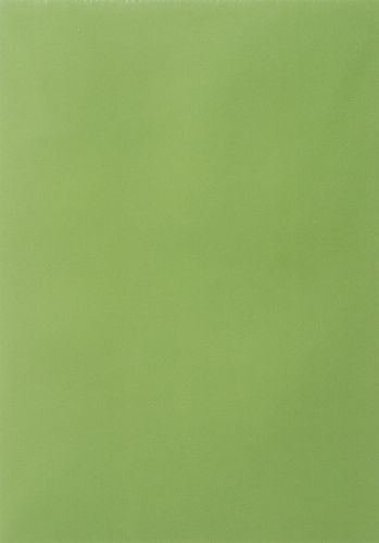 Калька А4 150 г/м2 "Салатовый"