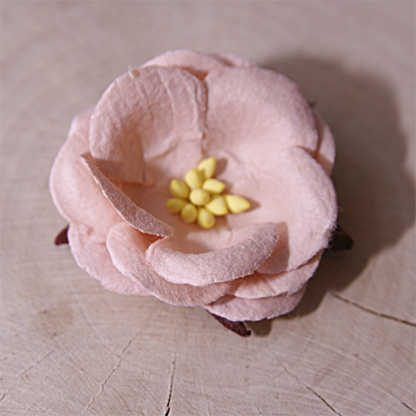 Цветок дикой розы, цвет бледный персиковый, 1 шт