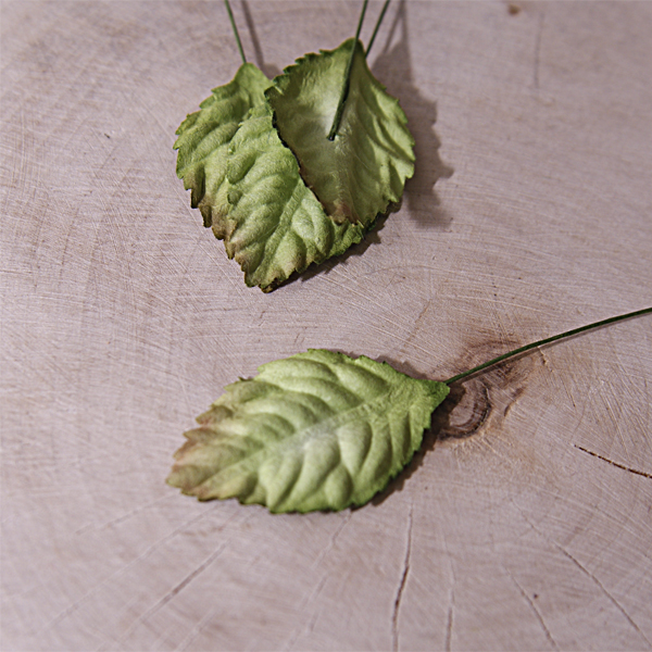 Листик со стебельком 40 х25 мм, зелёный