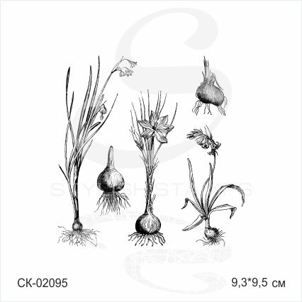 Штамп Stylish Stamps "Набор луковичных растений"