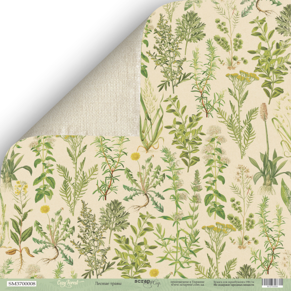 Бумага Scrapмир "Cozy Forest", лесные травы (SM302)