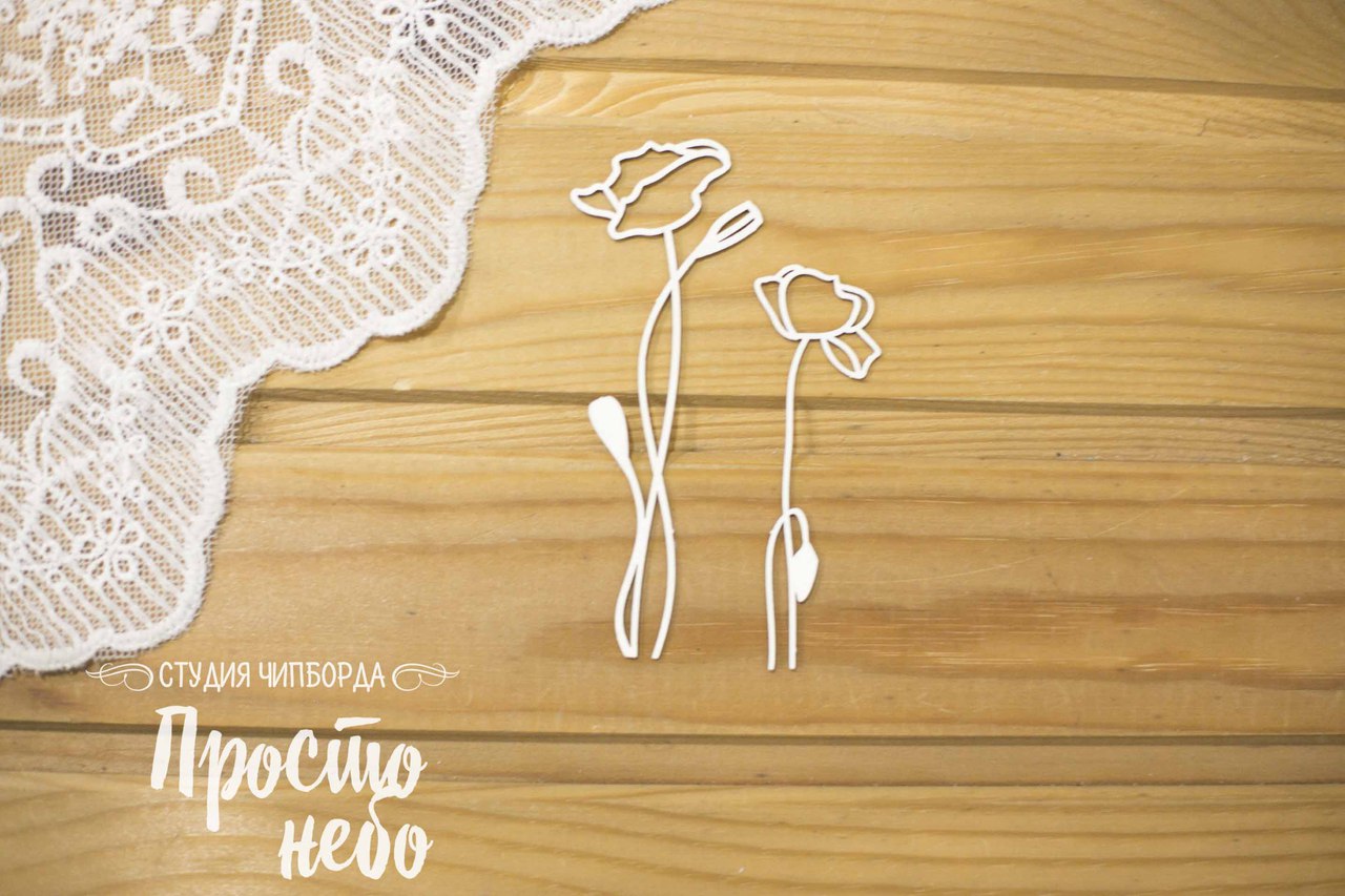 Чипборд Просто Небо. "Волшебник ОЗ",Маки 3