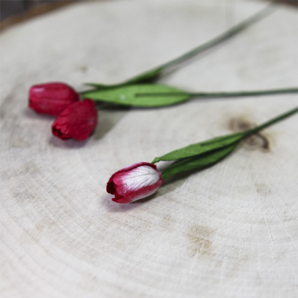 Тюльпан на стебельке, цвет красный с белым