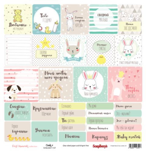 Бумага Scrapberrys "Наша кроха", Карточки 1(SB815)