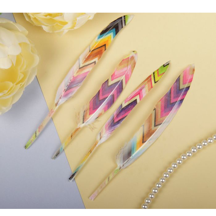 Набор перьев с геометрическим рисунком