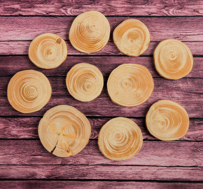 Набор спилов "Еловый", круглый