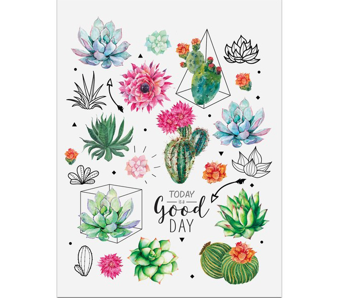 Наклейка Артузор "Суккуленты" 14 х 21 см
