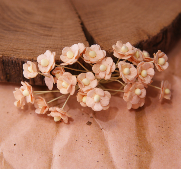 Букет цветов вишни 10 мм, 25 шт. Цвет бледно-абрикосовый