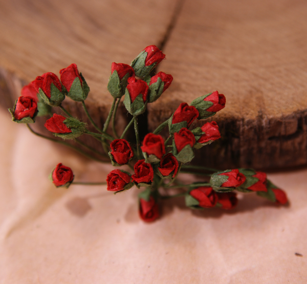 Букет микро-бутонов роз полуоткрытых, 25 штук, цвет красный