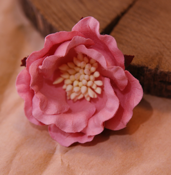 Цветок магнолии 5 см, 1 шт, цвет коралловый