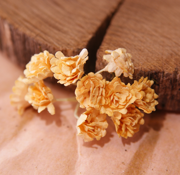 Букет гипсофил 10шт Жёлто-горчичный