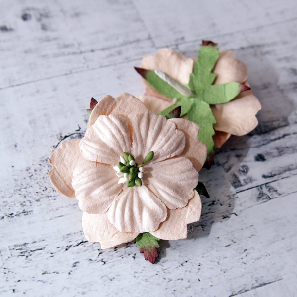 Цветок анемона, цвет бледный абрикосовый, 1 шт