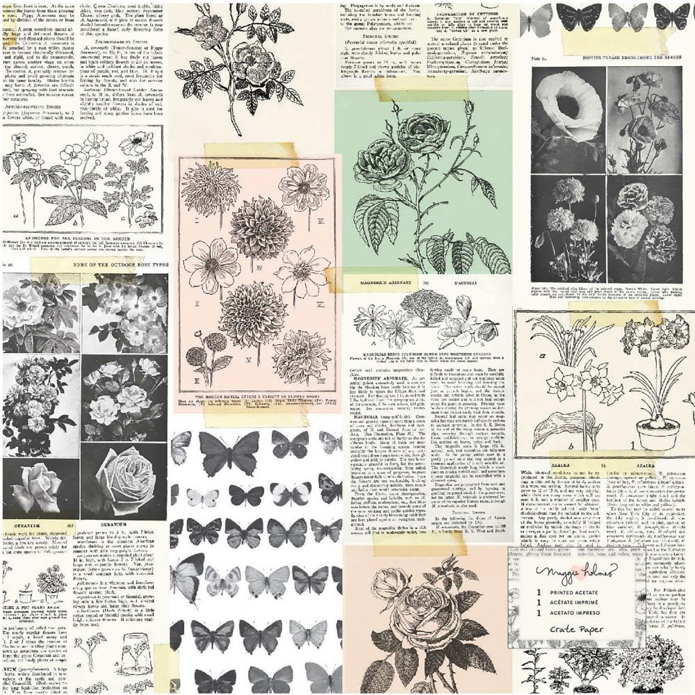 Ацетатный лист Crate Paper "Flourish", Floribuna