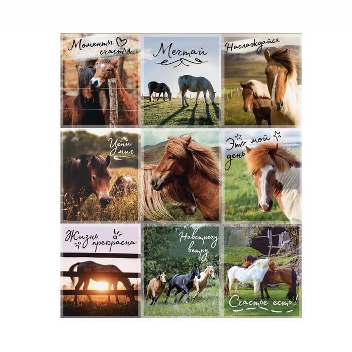 Наклейки Артузор "Лошадки"