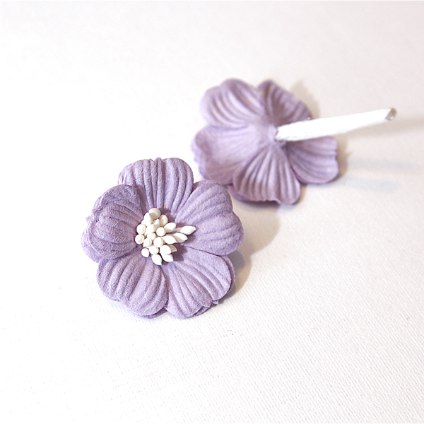 Цветок примулы, цвет нежный сиреневый