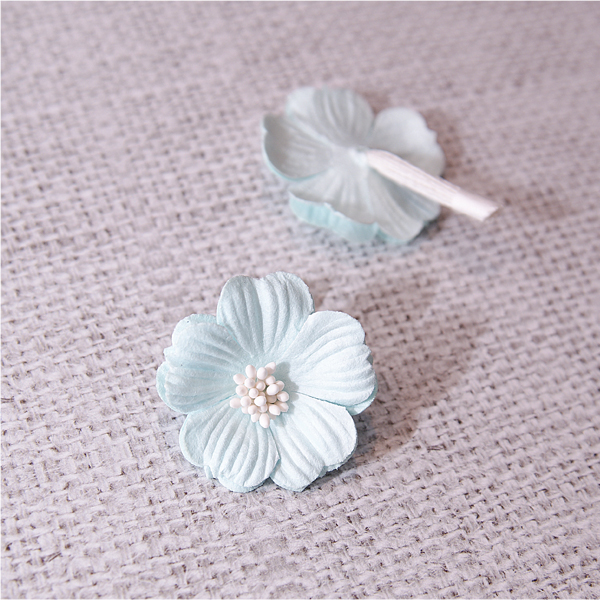 Цветок примулы, цвет мятно-голубой