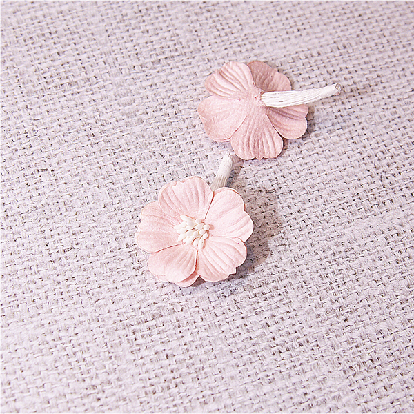 Цветок примулы, цвет нежный розовый