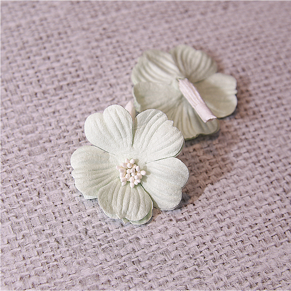 Цветок примулы, цвет нежный зелёный