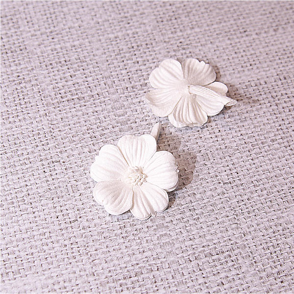 Цветок примулы, цвет белый