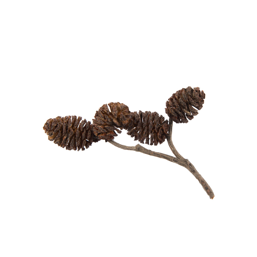 Набор мини-шишек